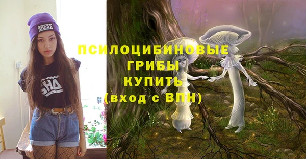 ECSTASY Абаза