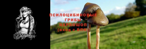 СК Нягань